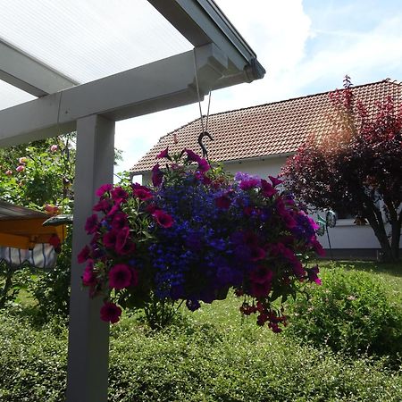 Ferienwohnung Relax Ilsenburg Luaran gambar