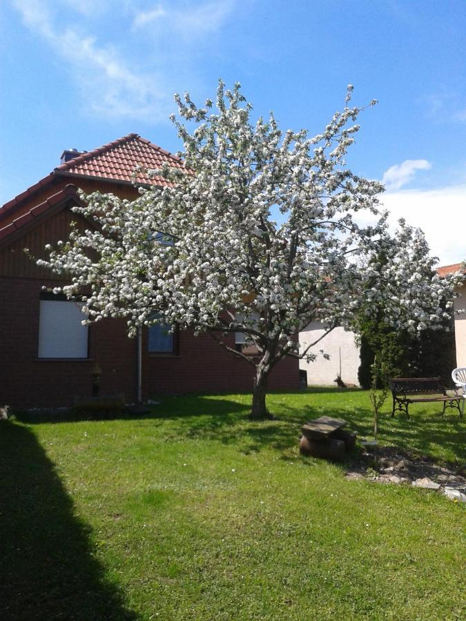 Ferienwohnung Relax Ilsenburg Luaran gambar