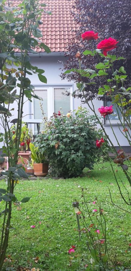 Ferienwohnung Relax Ilsenburg Luaran gambar