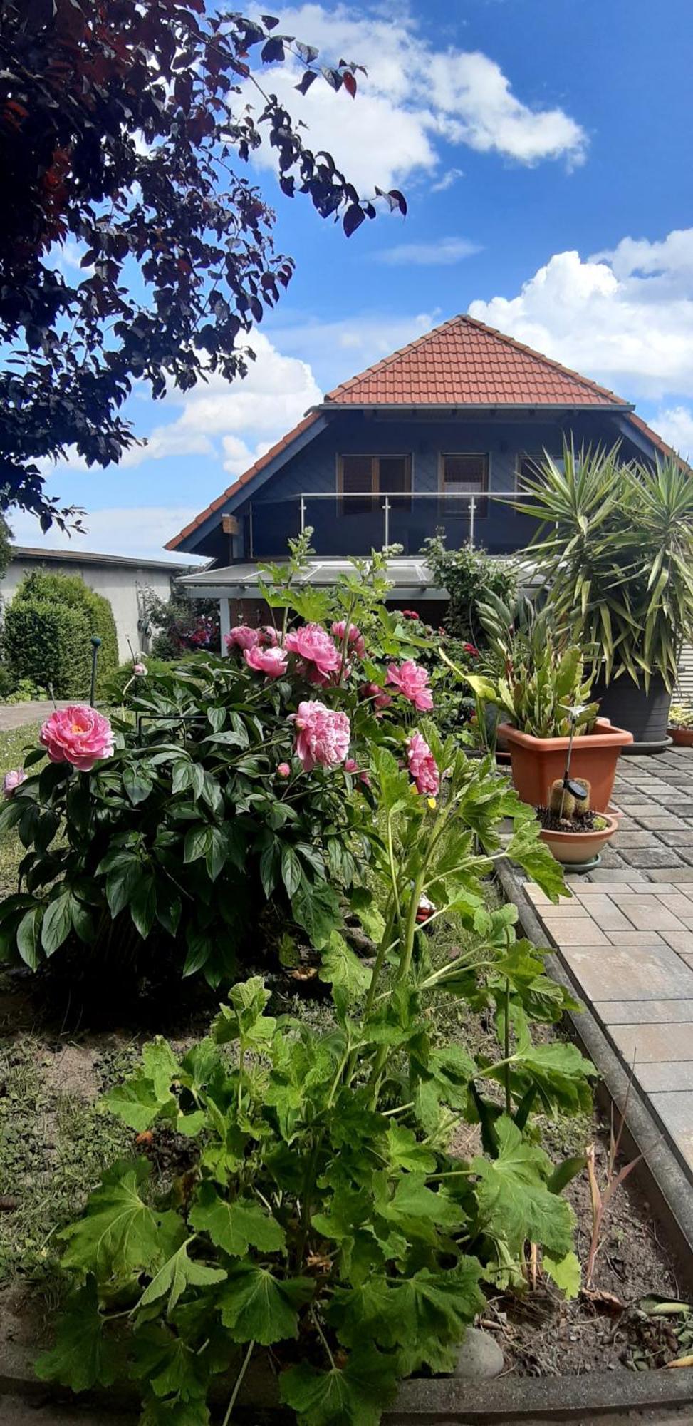 Ferienwohnung Relax Ilsenburg Luaran gambar