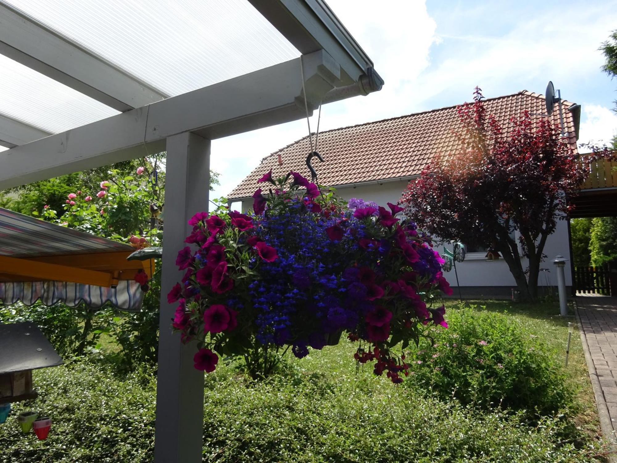 Ferienwohnung Relax Ilsenburg Luaran gambar